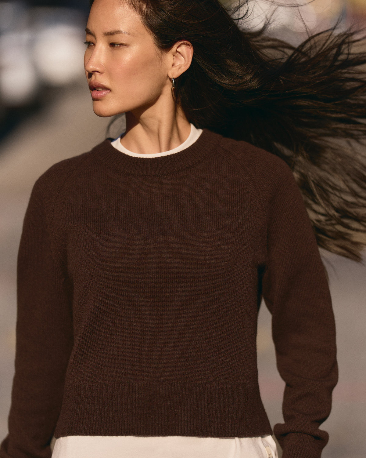 Émilie Cashmere Crew Women's Java Pullover - Vuori